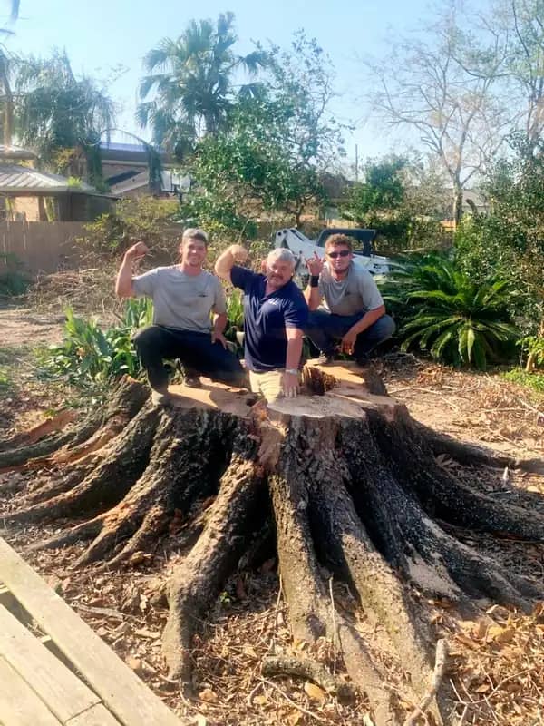 Bordelon's crew standing beside a large tree after removal