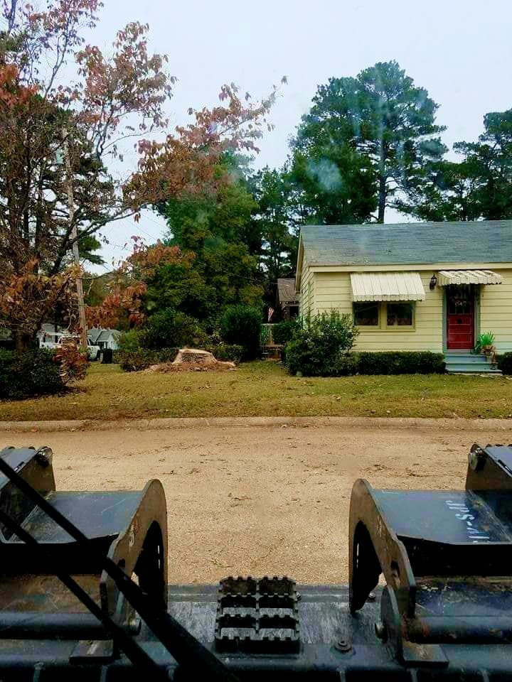 Same front yard cleared after tree removal with stump left low and site cleaned