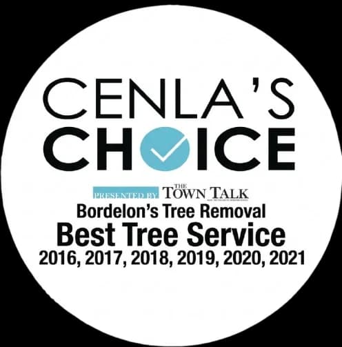 Cenla's Choice Best Tree Service award badge for years 2016 through 2021