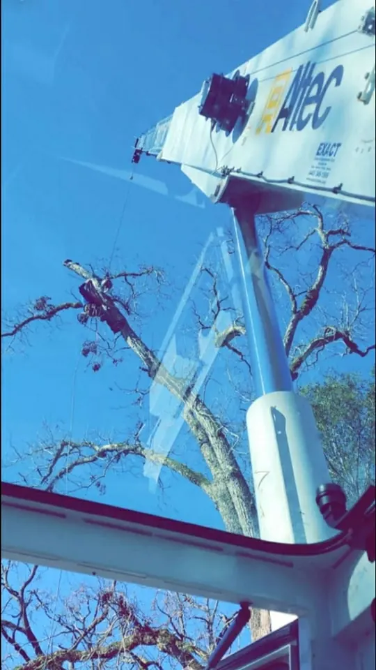Crane truck on residential street handling tree work